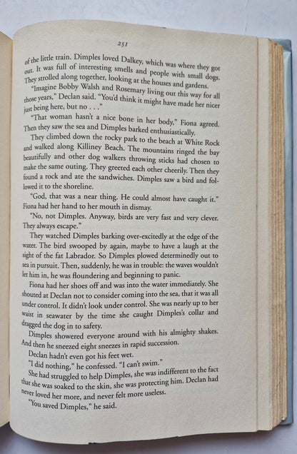Evening Class von Maeve Binchy (Sehr gut, 1996, HC, 420 Seiten, Delacorte Press)