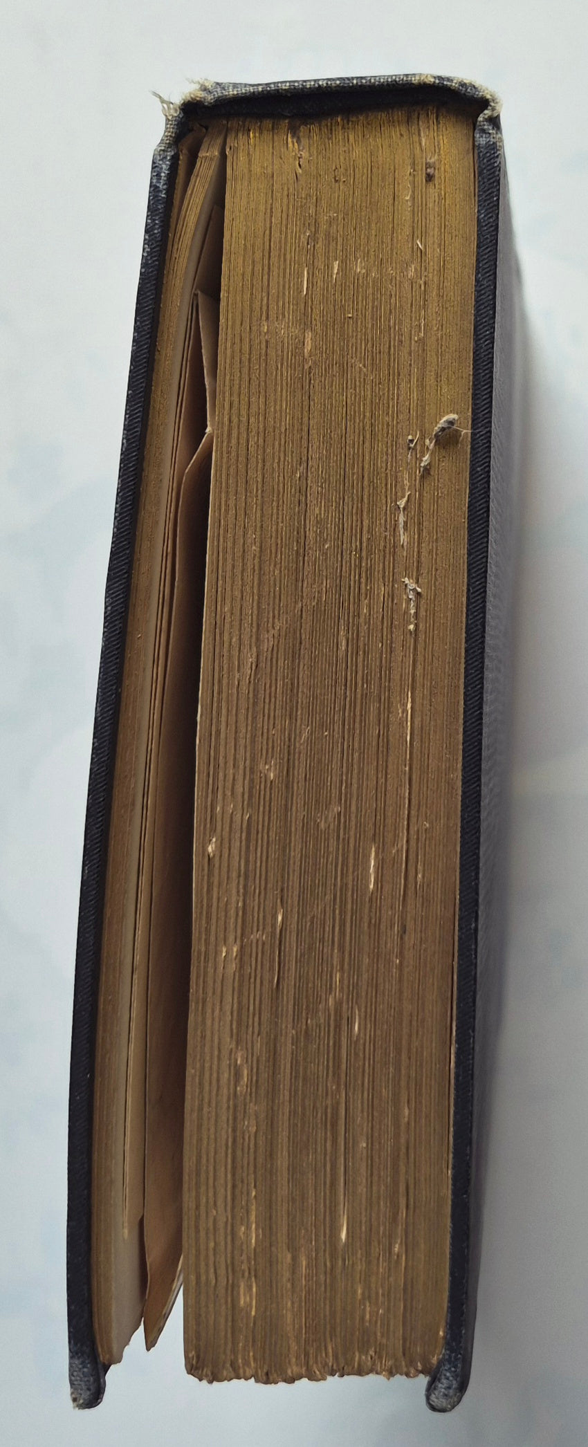 Across the Everglades: A Canoe Journey of Exploration by Hugh L. Willoughby (Very good, 1898, HC, 192 pgs, J.B. Lippincott)