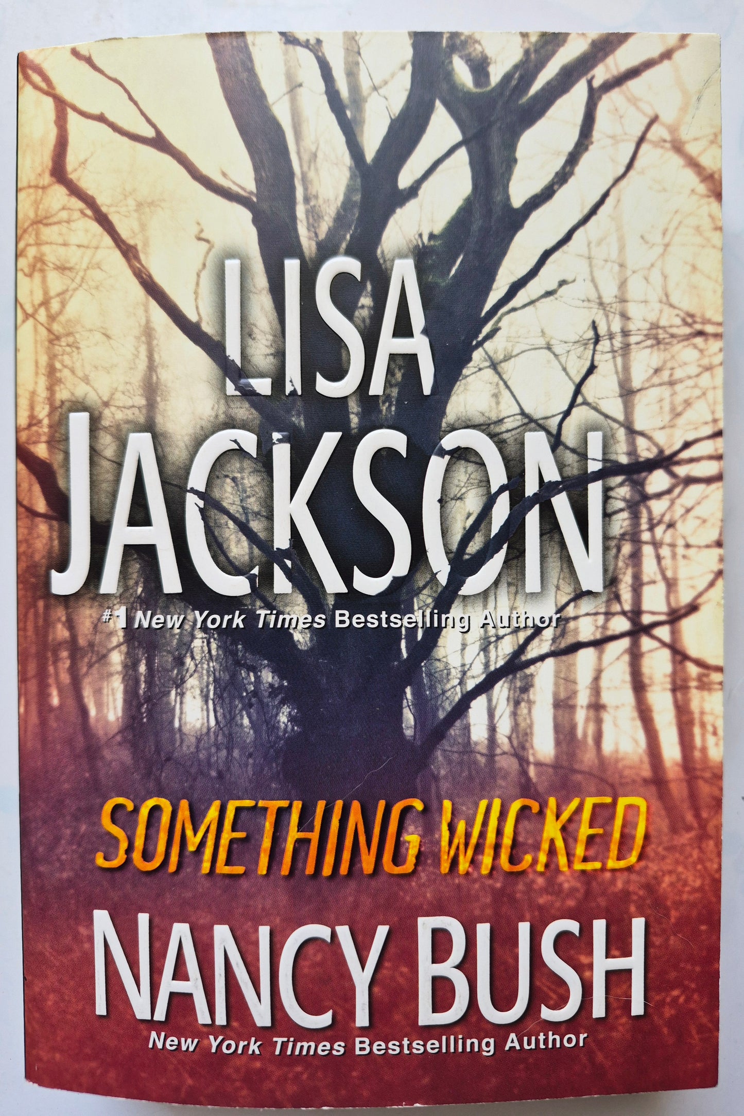 Something Wicked by Lisa Jackson; Nancy Bush - Wicked #3, Very good, 2013, Pbk, 489 pgs, Zebra Books