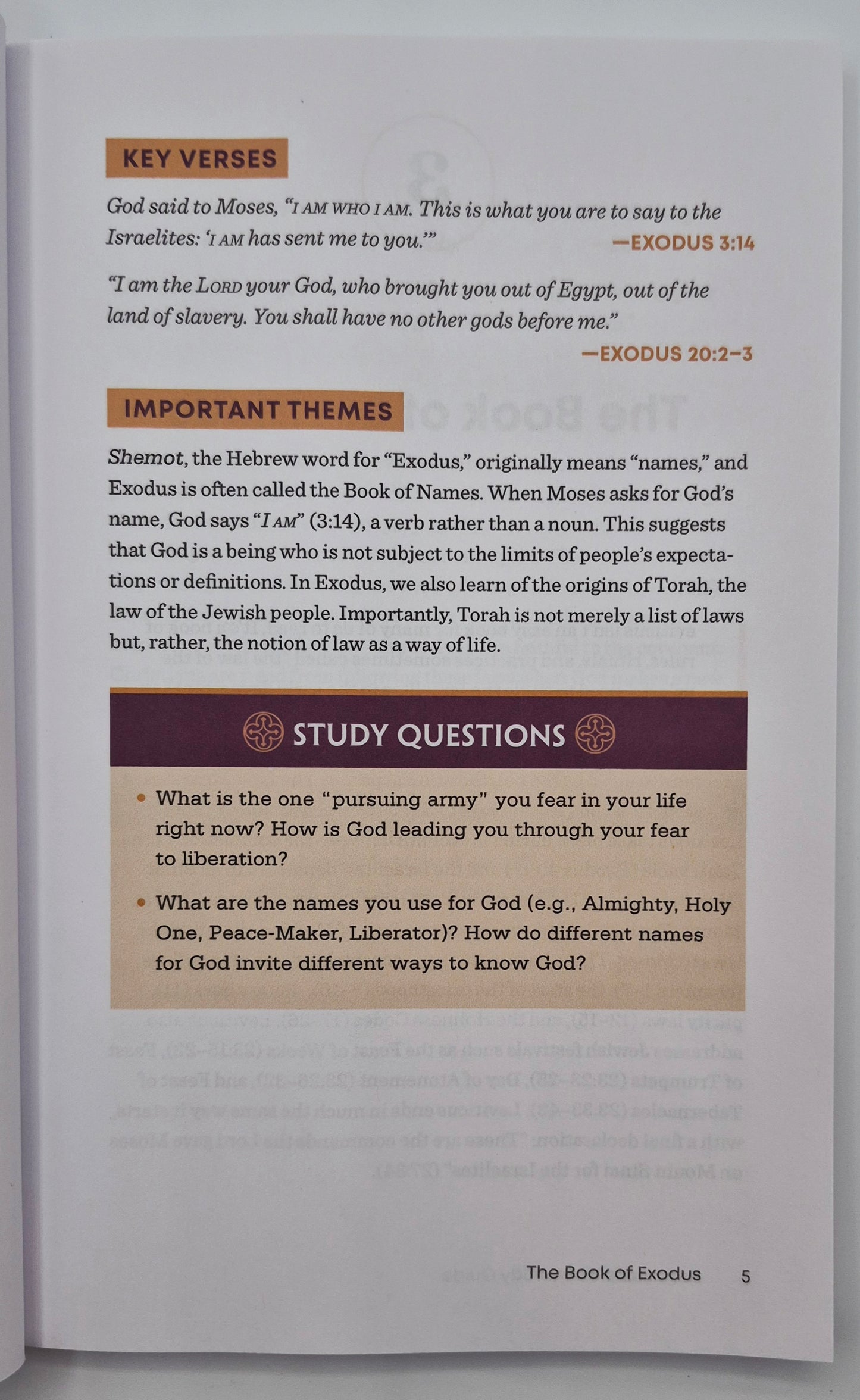 Beginner's Bible Study Guide: An Introduction to All 66 Books of the Bible by Rev. Cameron Trimble (Very good, 2022, Pbk, 148 pgs, RockRidge Press)