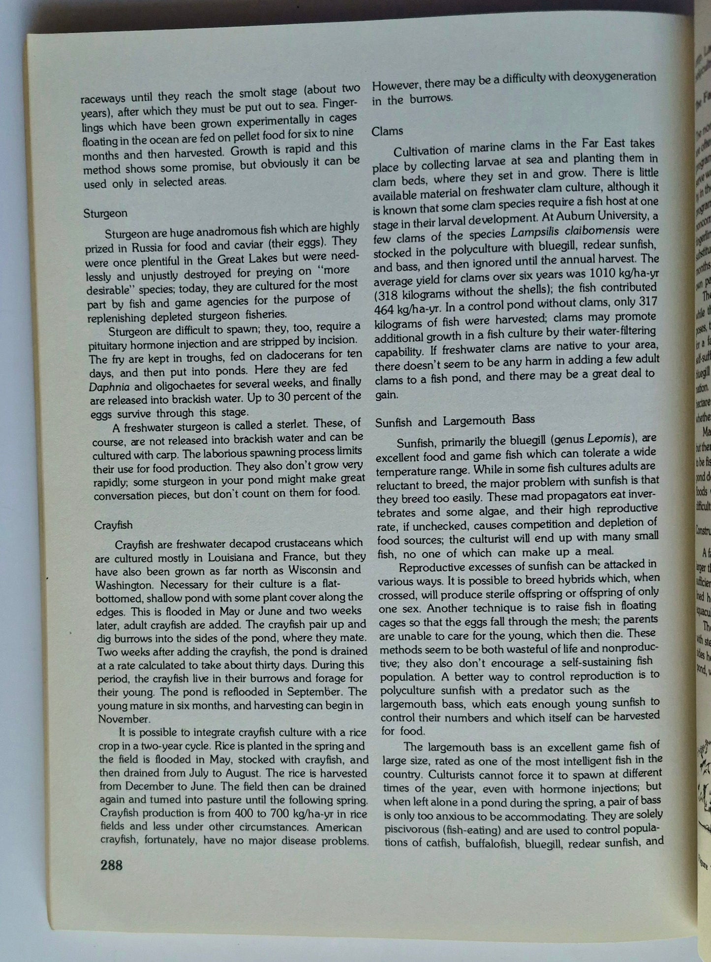 A Separate Peace von John Knowles (Sehr gut, 1996, Taschenbuch, 204 Seiten, Scribner)