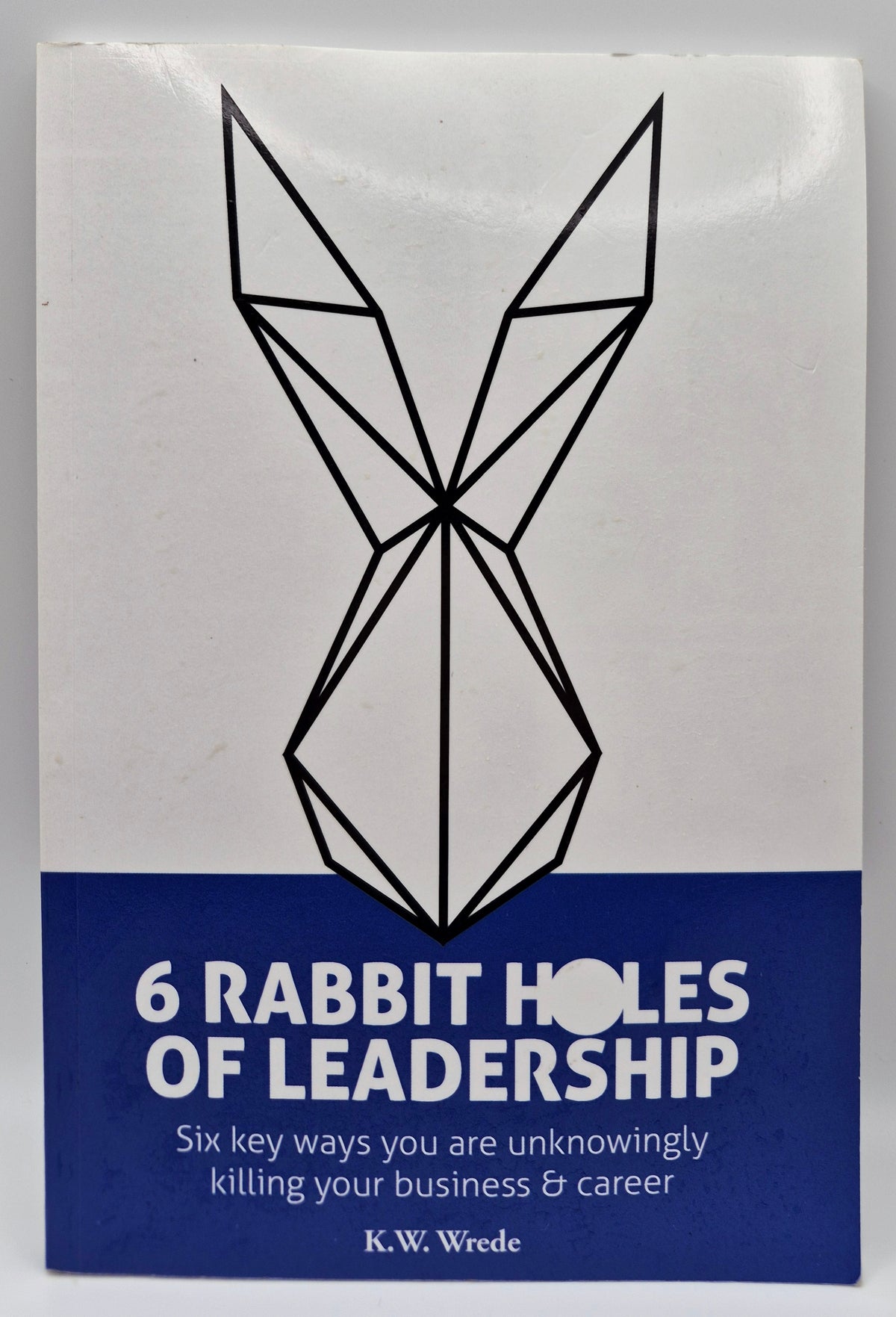 6 Rabbit Holes of Leadership: Six key ways you are unknowingly killing your business & career by K. W. Wrede (Very good, 2016, Pbk, 111 pgs, Leadership LLC)