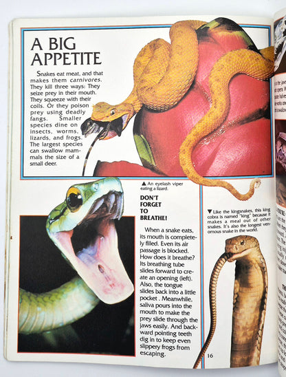 Eyes on Nature: Snakes by Jane P. Resnick (Good, 1996, Pbk, 30 pgs, Innisbrook Wraps)
