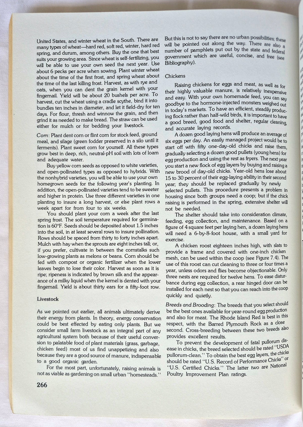 A Separate Peace von John Knowles (Sehr gut, 1996, Taschenbuch, 204 Seiten, Scribner)