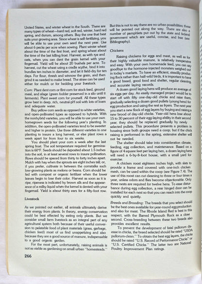 A Separate Peace von John Knowles (Sehr gut, 1996, Taschenbuch, 204 Seiten, Scribner)