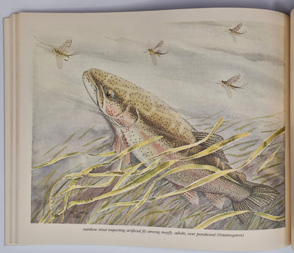 Freshwater Wilderness: Yellowstone Fishes & Their World by John D. Varley; Paul Schullery (Very good, 1983, Pbk, 133 pgs, The Yellowstone Library)