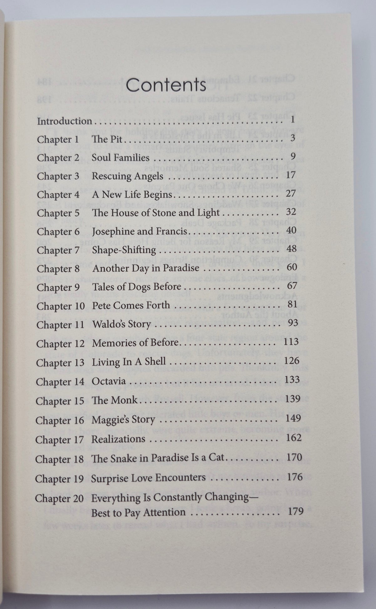 The Spiritual Adventures of Russell the Dog by Trisha Watson (Very good, 2020, Pbk, 284 pgs, Stone & Light Pub)