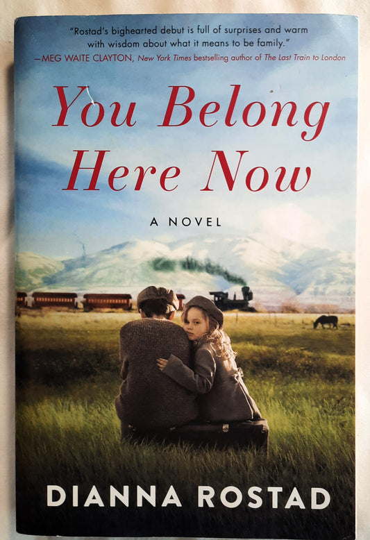 You Belong Here Now by Dianna Rostad (Very good, 2021, PBk, 355 pages, William Morrow)