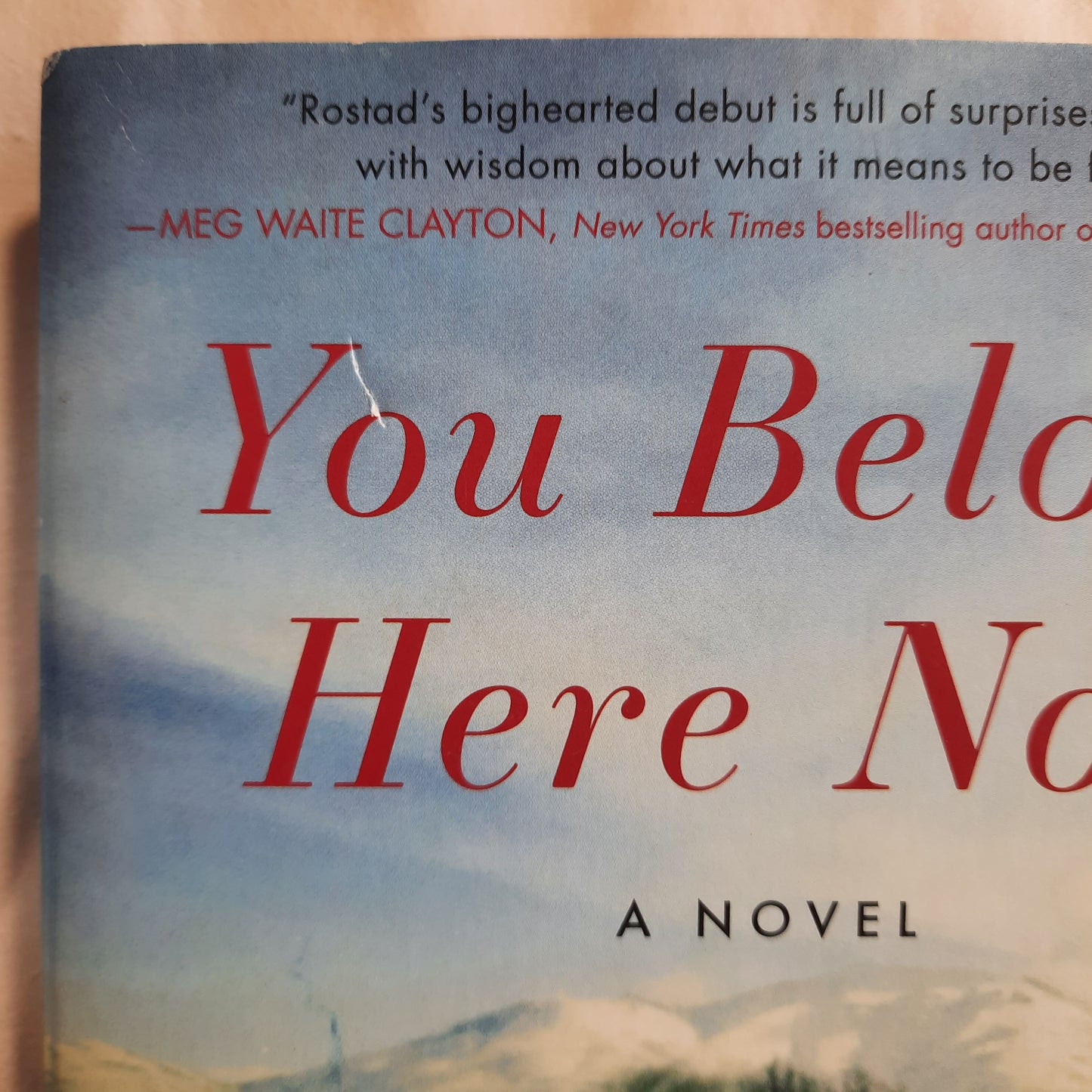 You Belong Here Now by Dianna Rostad (Very good, 2021, PBk, 355 pages, William Morrow)