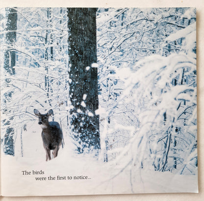 Stranger in the Woods by Carl R. Sams II; Jean Stoick (Very Good, 2014, Pbk, 66 pages, Scholastic)