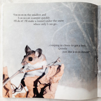 Stranger in the Woods by Carl R. Sams II; Jean Stoick (Very Good, 2014, Pbk, 66 pages, Scholastic)