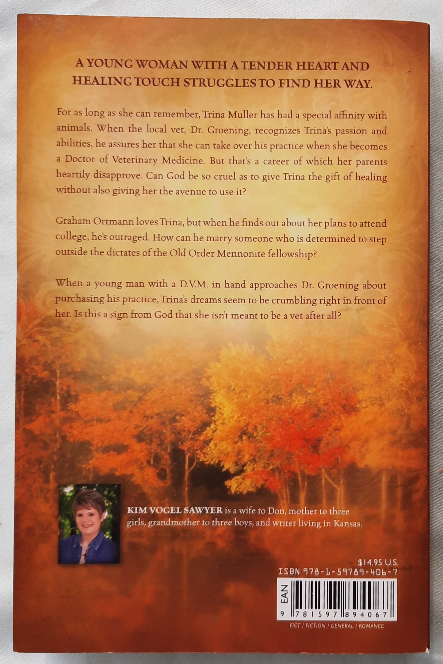 Blessings by Kim Vogel Sawyer (Sommerfield #3, Very good, 2008, Pbk, 284 pages, Barbour)