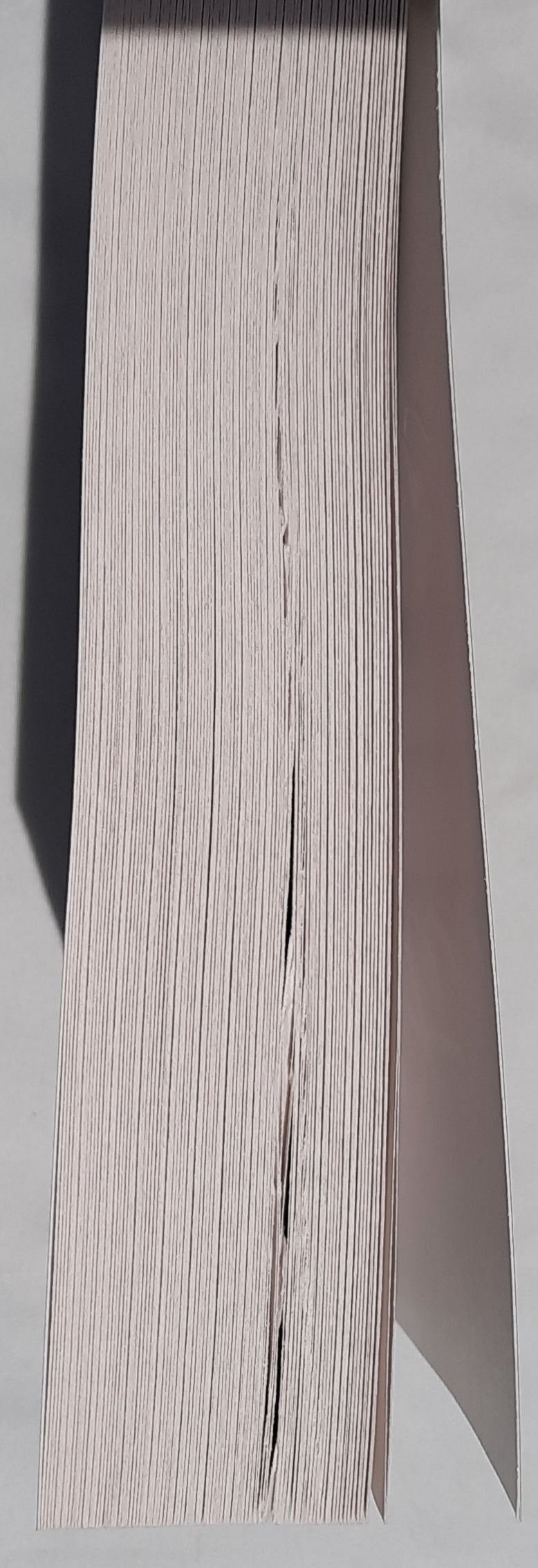 After She Falls by Carmen Schober (New w/damage, 2021, Pbk, 344 pages, Bethany House)