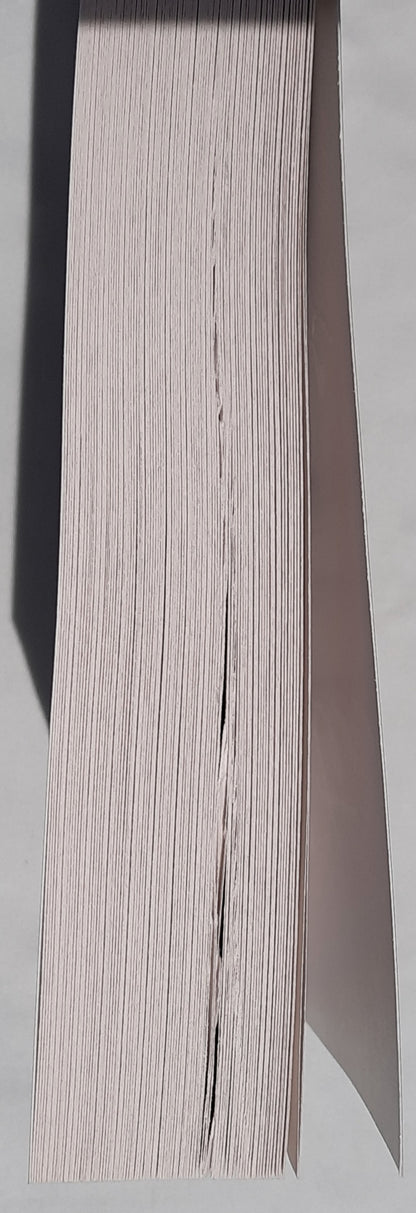 After She Falls by Carmen Schober (New w/damage, 2021, Pbk, 344 pages, Bethany House)