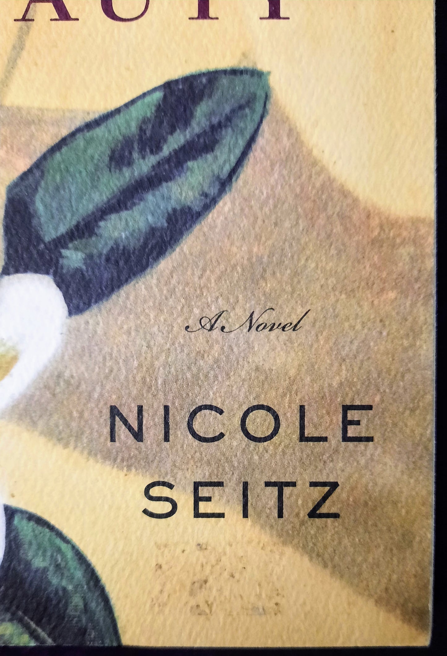 The Inheritance of Beauty by Nicole Seitz (Very good, 2011, Pbk, 307 pgs)