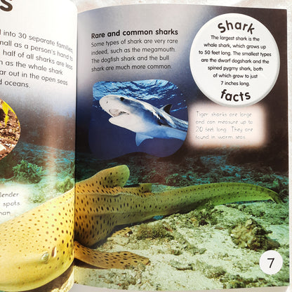 Animal Lives: Sharks by QEB/Teacher Created Resources (New, 2006, PBk, 32 pages)