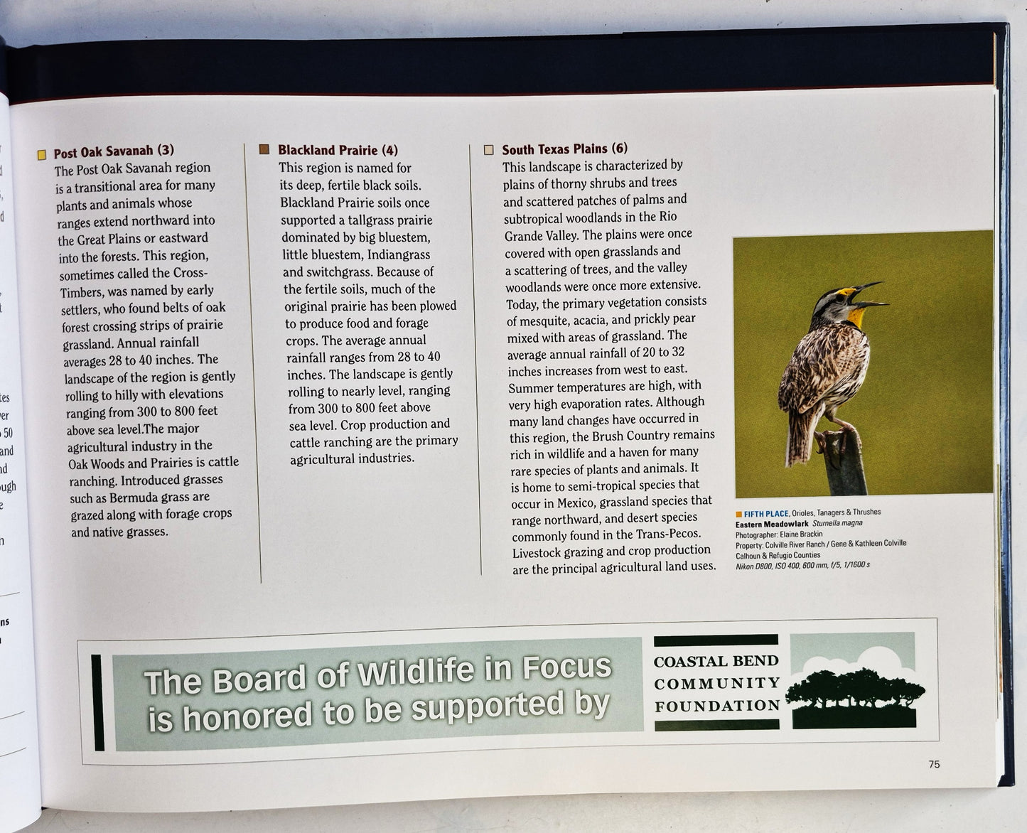Wildlife in Focus VIII editors David Sikes; Crystal Mead; Brenda Weathered (Very good, 2016, HC, 188 pgs, Grunwald Printing)