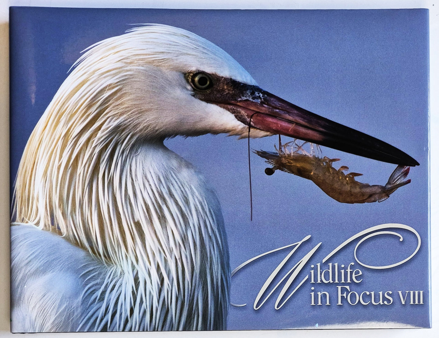 Wildlife in Focus VIII editors David Sikes; Crystal Mead; Brenda Weathered (Very good, 2016, HC, 188 pgs, Grunwald Printing)