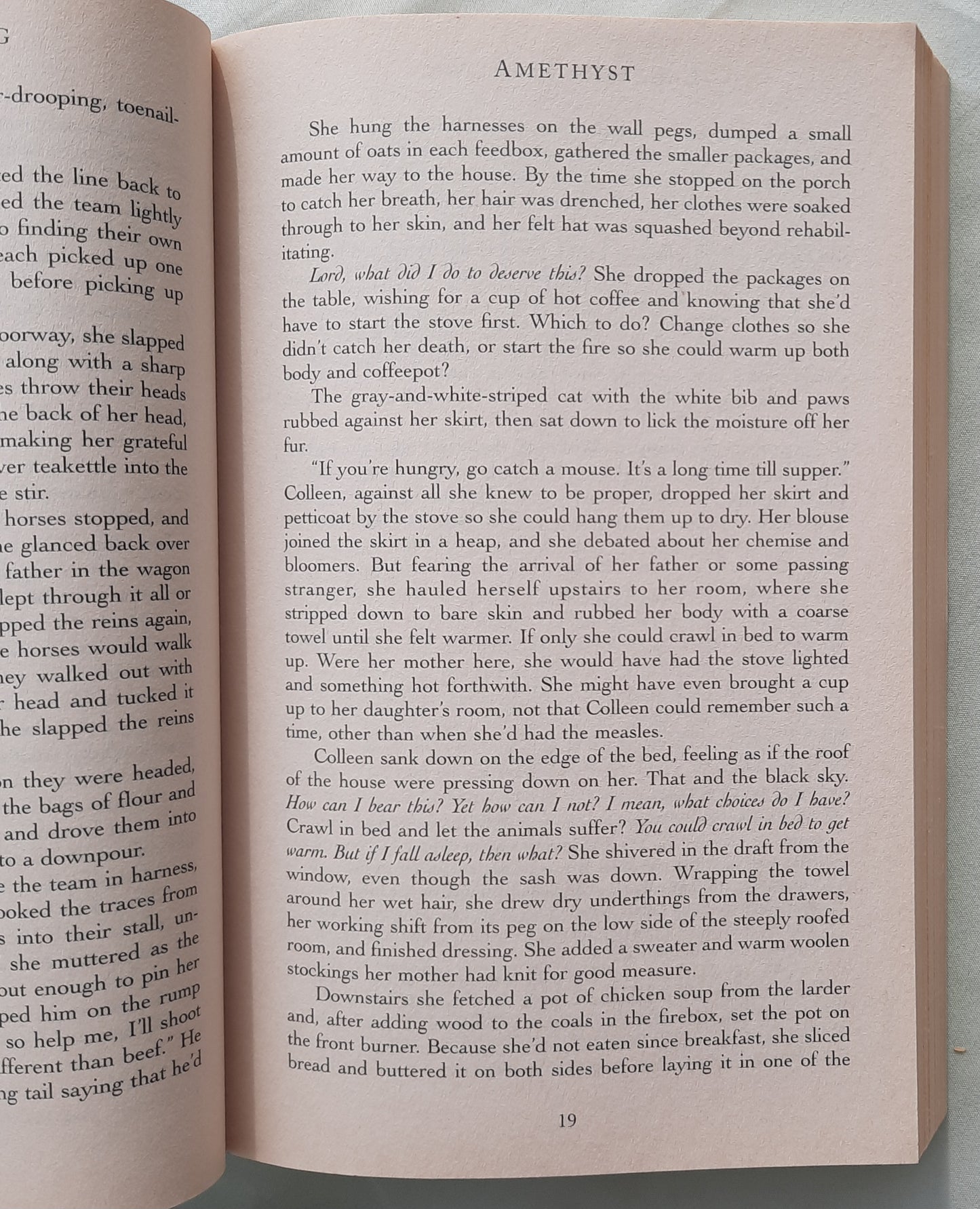 Amethyst by Lauraine Snelling (Dakotah Treasures #4, Very good, 2005, Pbk, 320 pages, Bethany House)