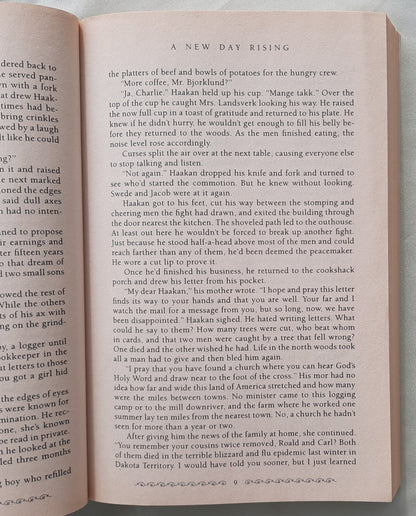 A New Day Rising by Lauraine Snelling (Red River of the North #2, Very good, 1996, Pbk, 286 pages, Bethany House)