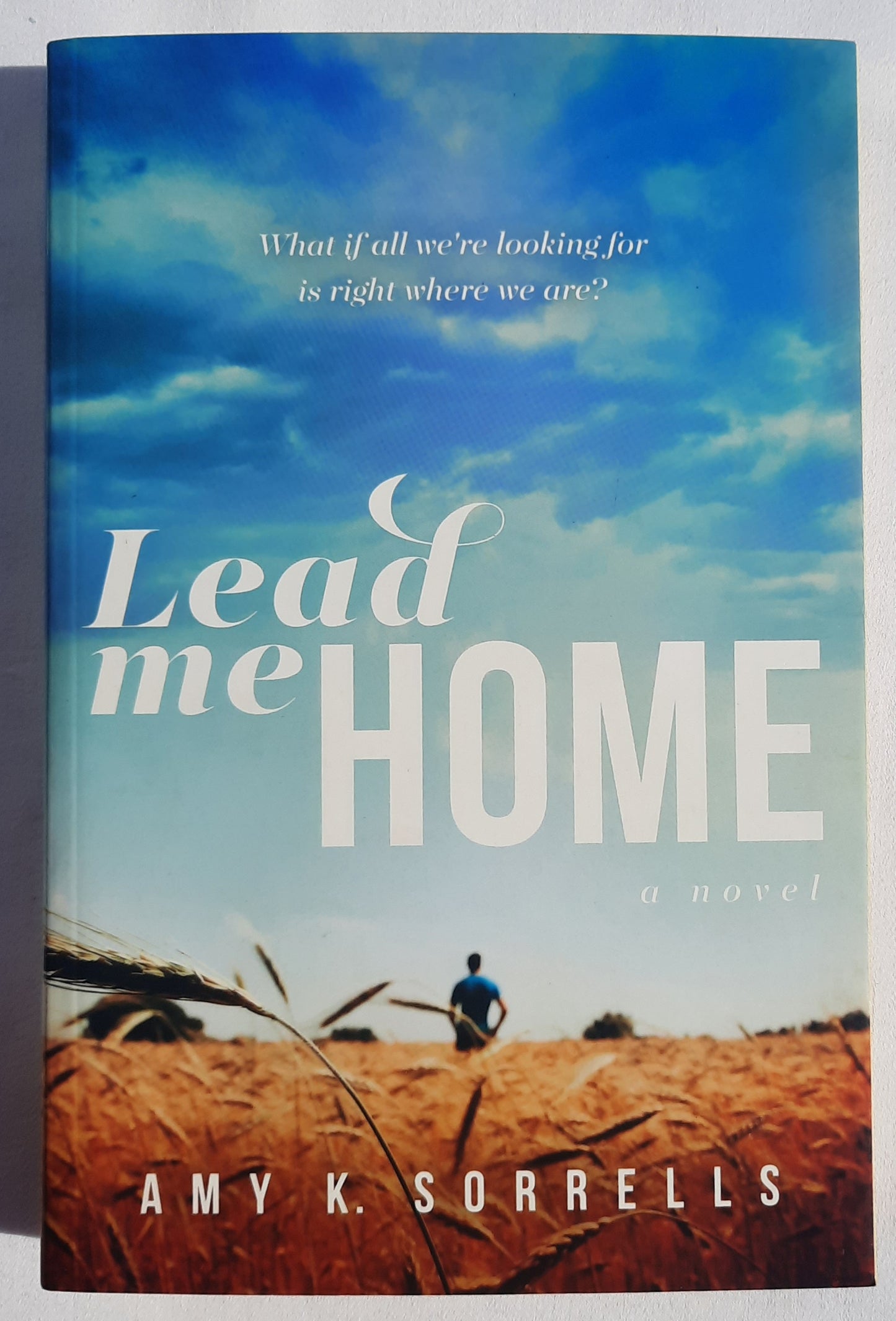 Lead Me Home von Amy K. Sorrells (Neu, 2016, TB, 384 Seiten, Tyndale House)