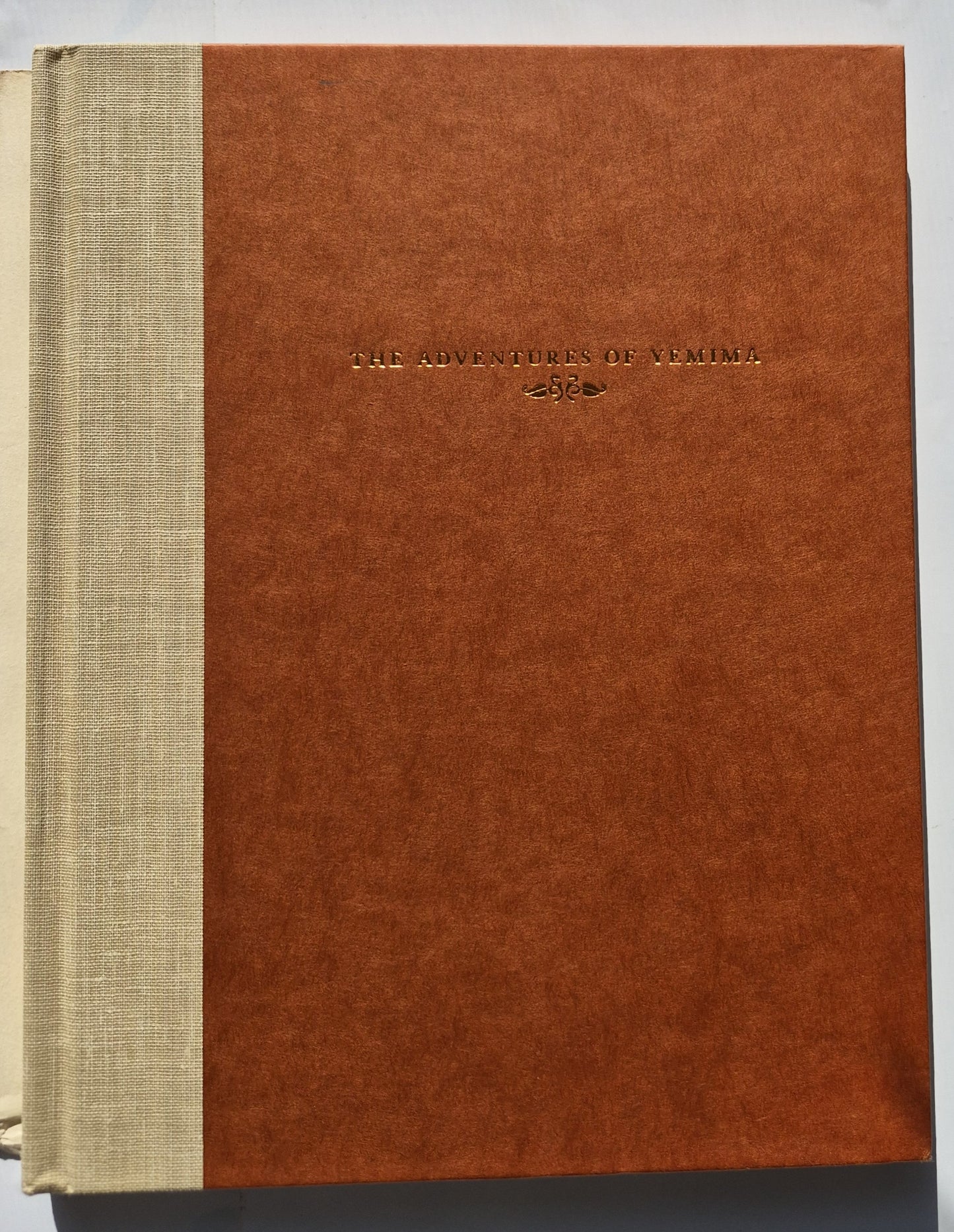 Die Abenteuer der Jemima und andere Geschichten von Abraham Soyer (Sehr gut, 1979, HC, 70 Seiten, The Viking Press)