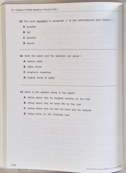 STAAR Reading Practice Grade 4 by Newmark Learning (New, 2013, Pbk, 140 pages)