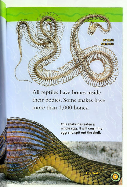 National Geographic Kids: Snakes! by Melissa Stewart (New, 2009, Pbk, 32 pages, Scholastic)