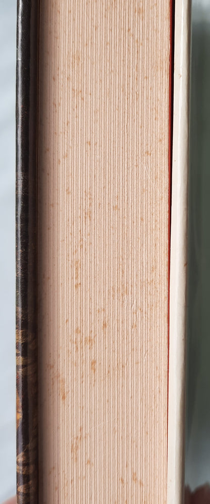 Touch Not the Cat by Mary Stewart (Very good, 1976, HC, 336 pages, William Morrow & Co.)