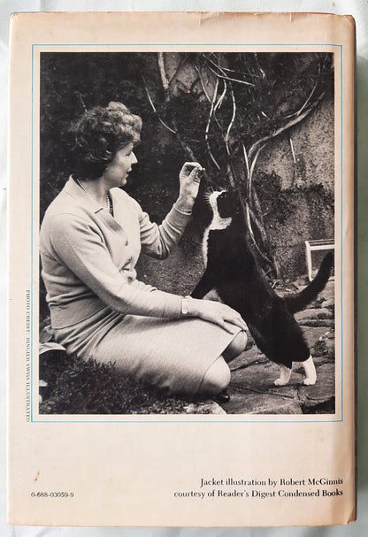 Touch Not the Cat by Mary Stewart (Very good, 1976, HC, 336 pages, William Morrow & Co.)