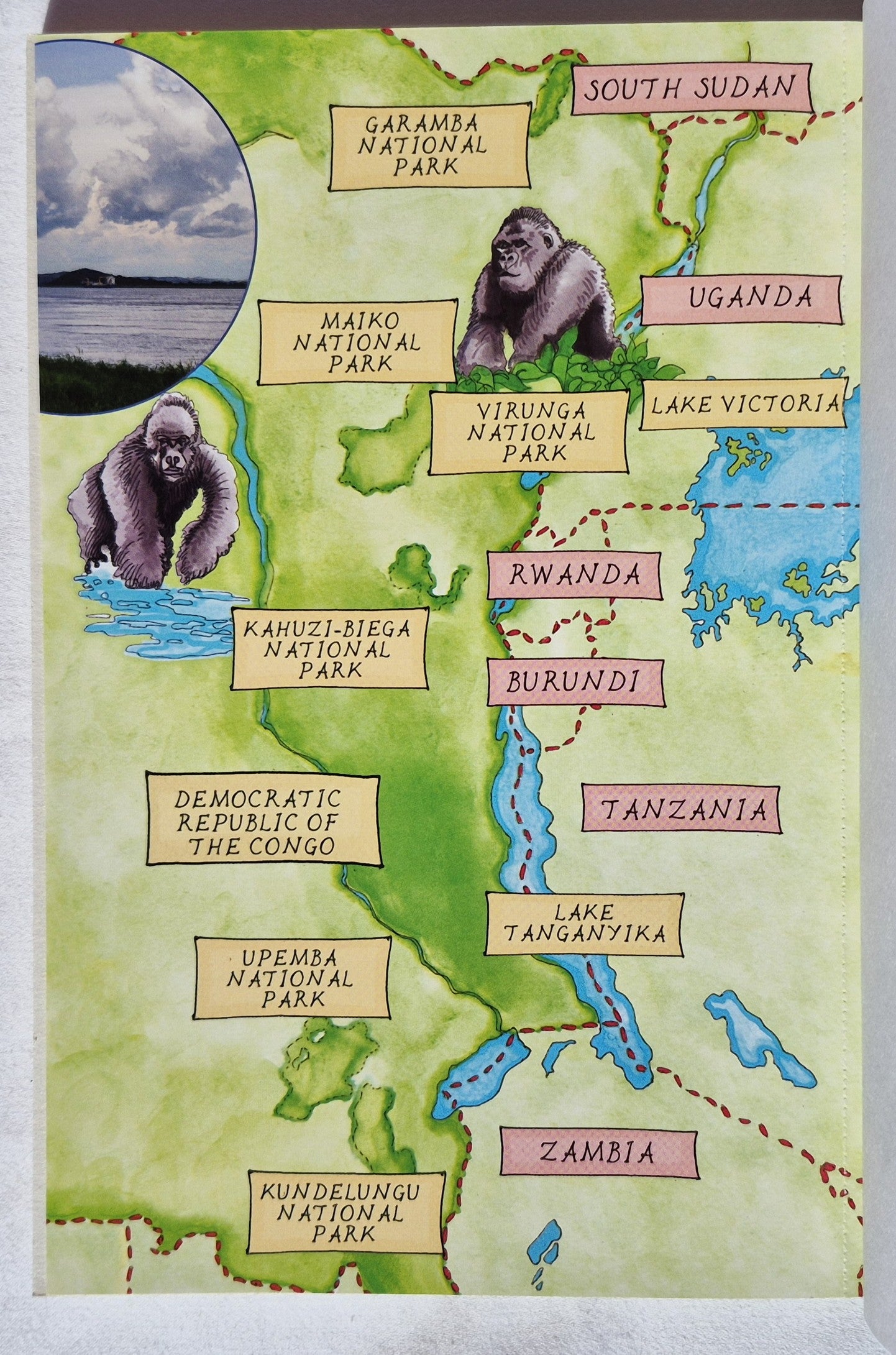 Where is the Congo? by Megan Stine (New, 2020, Pbk, 112 pages, Scholastic)