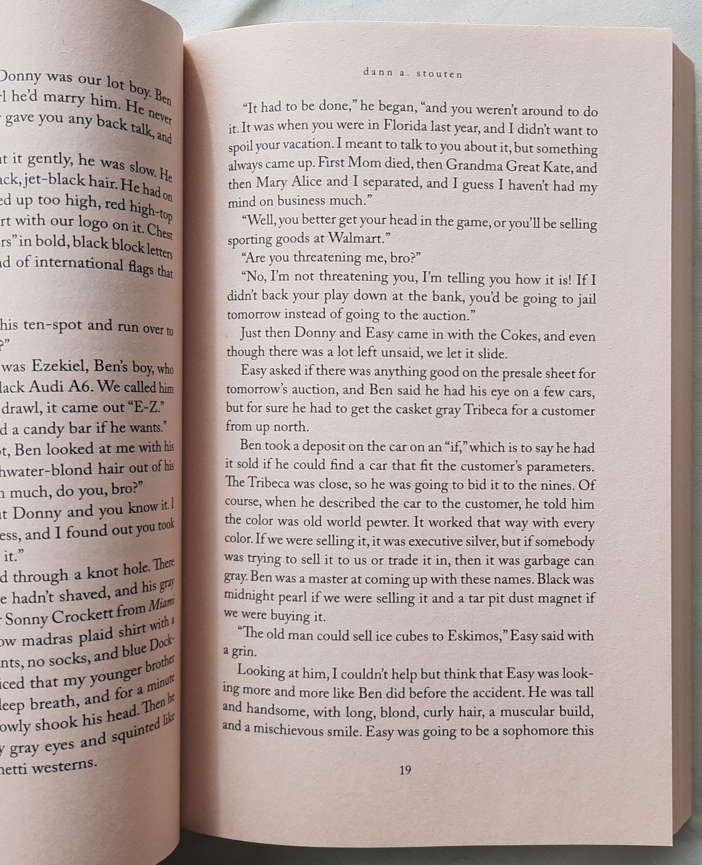 The Gate by Dann A. Stouten (Very good, 2013, Pbk, 245 pages, Revell)