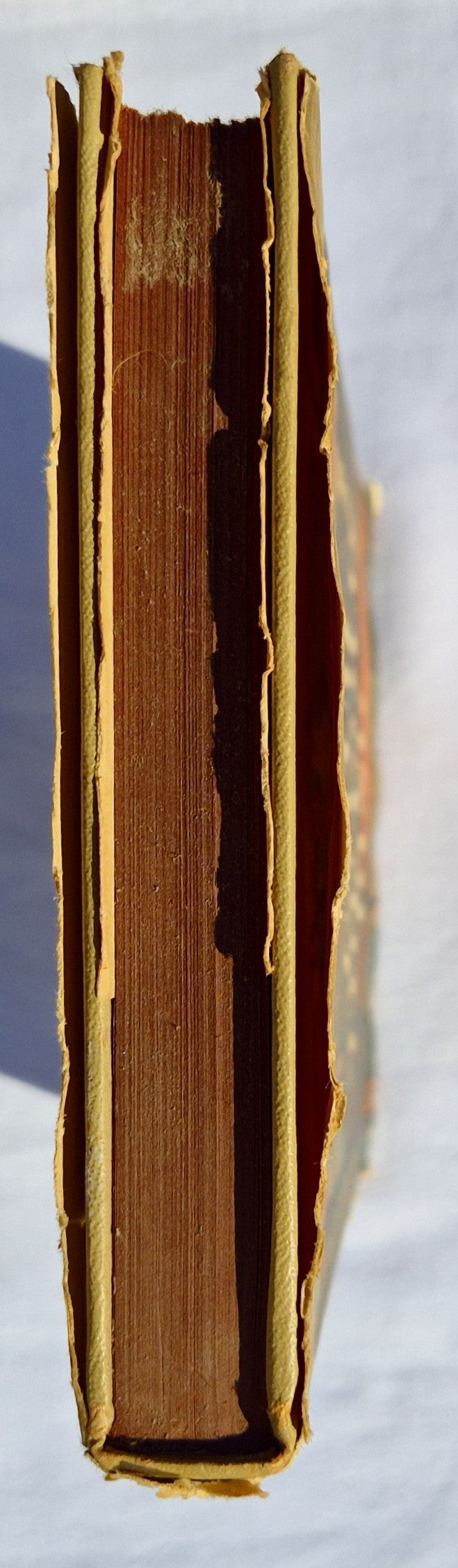 Catch the Gold Ring von John Stephen Strange (Sehr gut, 1955, gebunden, 223 Seiten, Doubleday & Co.)