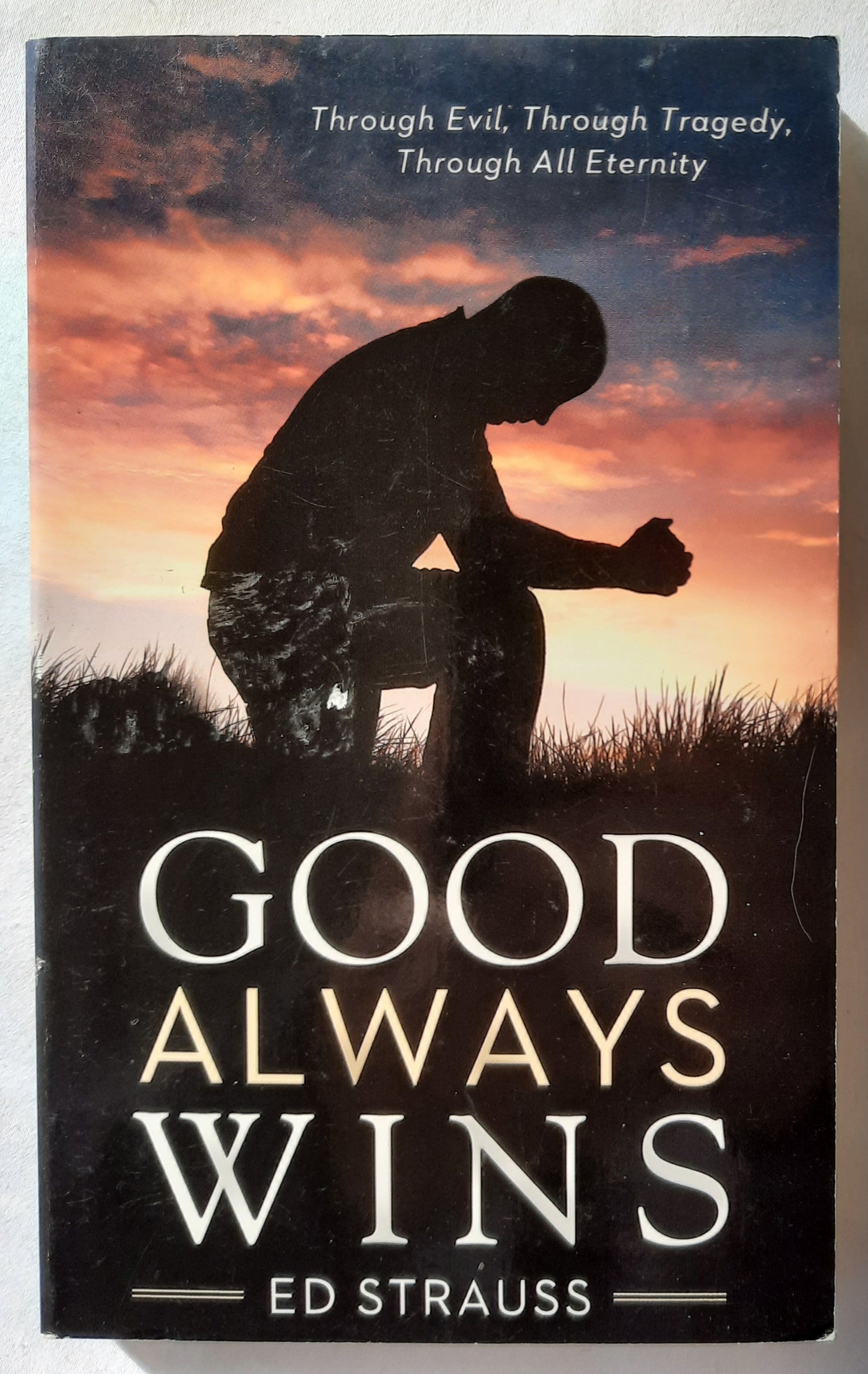 Good Always Wins by Ed Strauss (Very good, 2014, Pbk, 160 pages, Value Books)