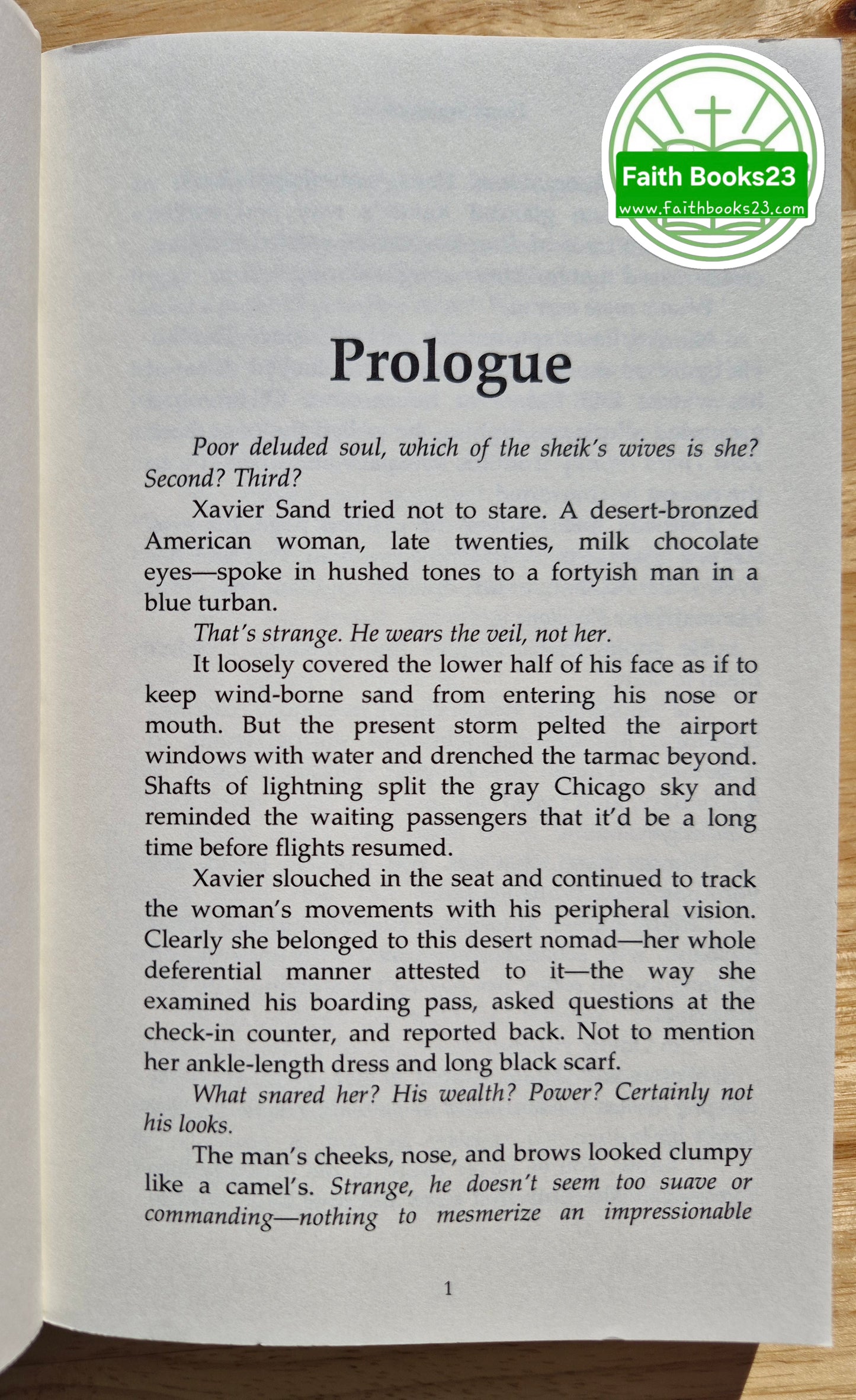 Continents Apart by Dana Sudboro (New, Pbk, 2010, White Rose, 347 pages, Limited Availability)