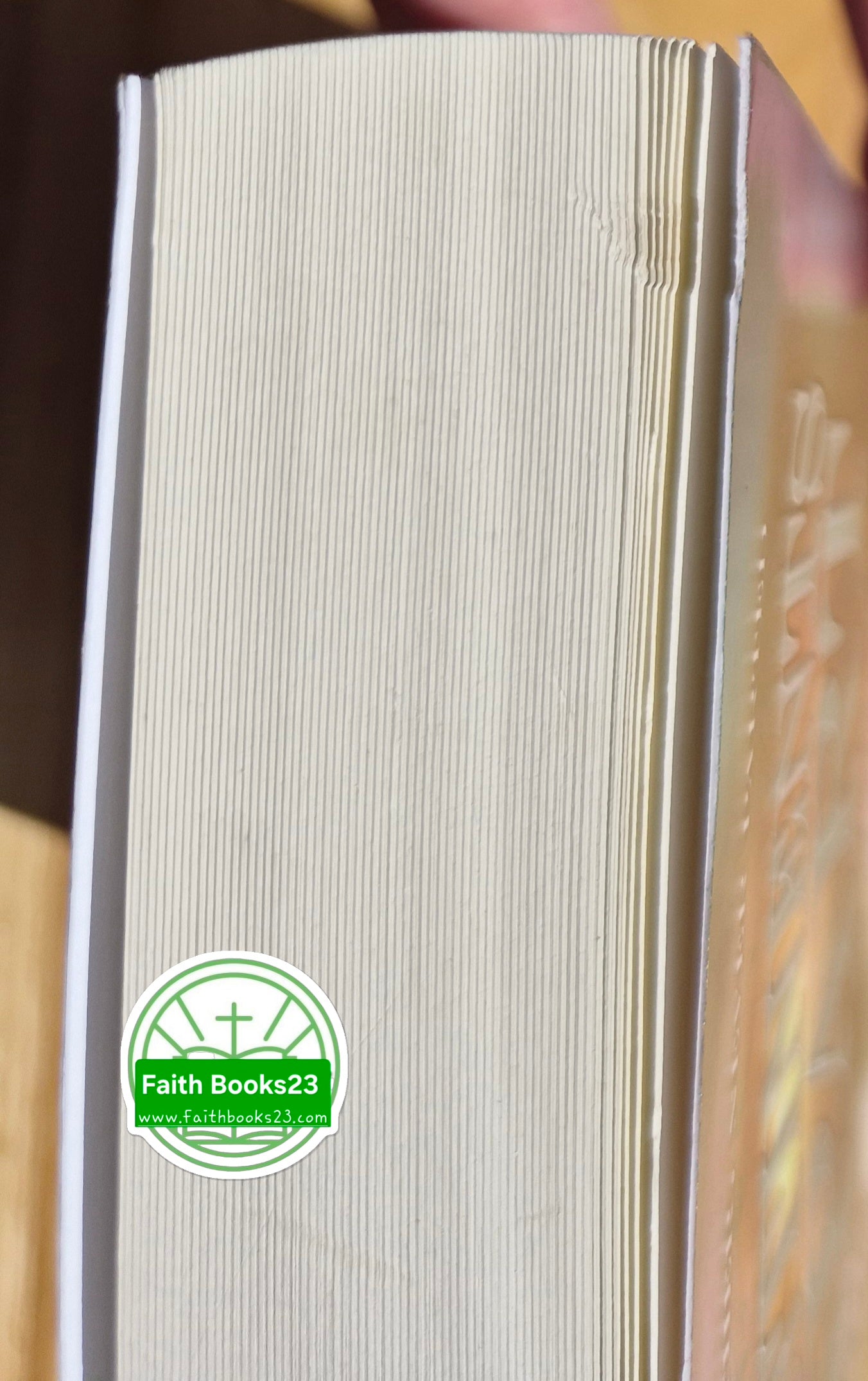 Continents Apart by Dana Sudboro (New, Pbk, 2010, White Rose, 347 pages, Limited Availability)