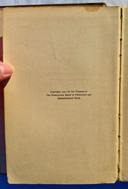 Planting the Outposts von Robert Frederick Sulzer (Akzeptabel, 1913, HC, 119 Seiten, The Presbyterian Board of Publication and Sabbath School Work)
