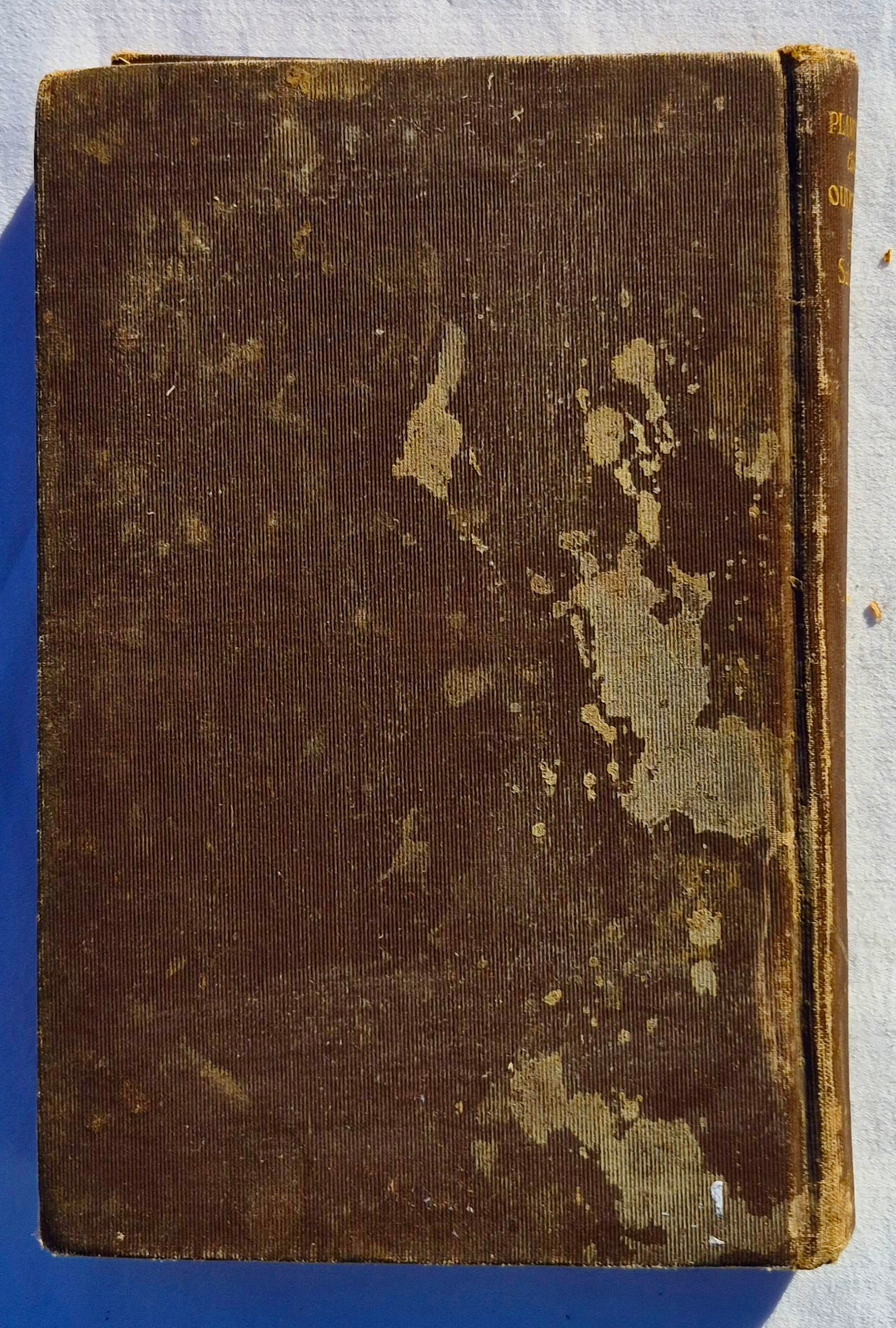 Planting the Outposts von Robert Frederick Sulzer (Akzeptabel, 1913, HC, 119 Seiten, The Presbyterian Board of Publication and Sabbath School Work)