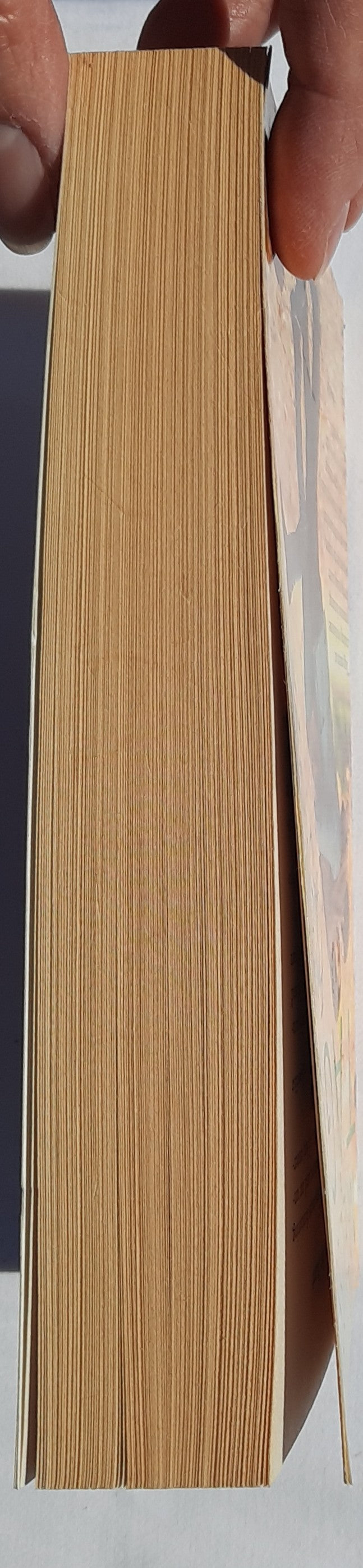 From the Start #1 by Melissa Tagg (Walker Family, New, 2015, Pbk, 397 pages, Bethany House)