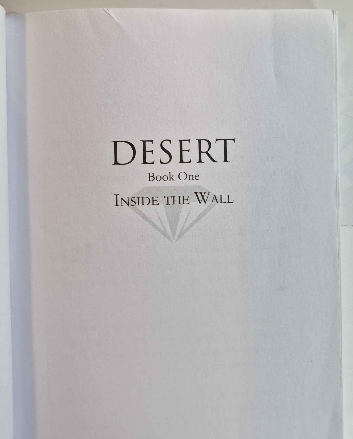 Desert: Inside the Wall by A. Tebbs (Very good, 2017, Pbk, 300 pages, Nightbird Books)