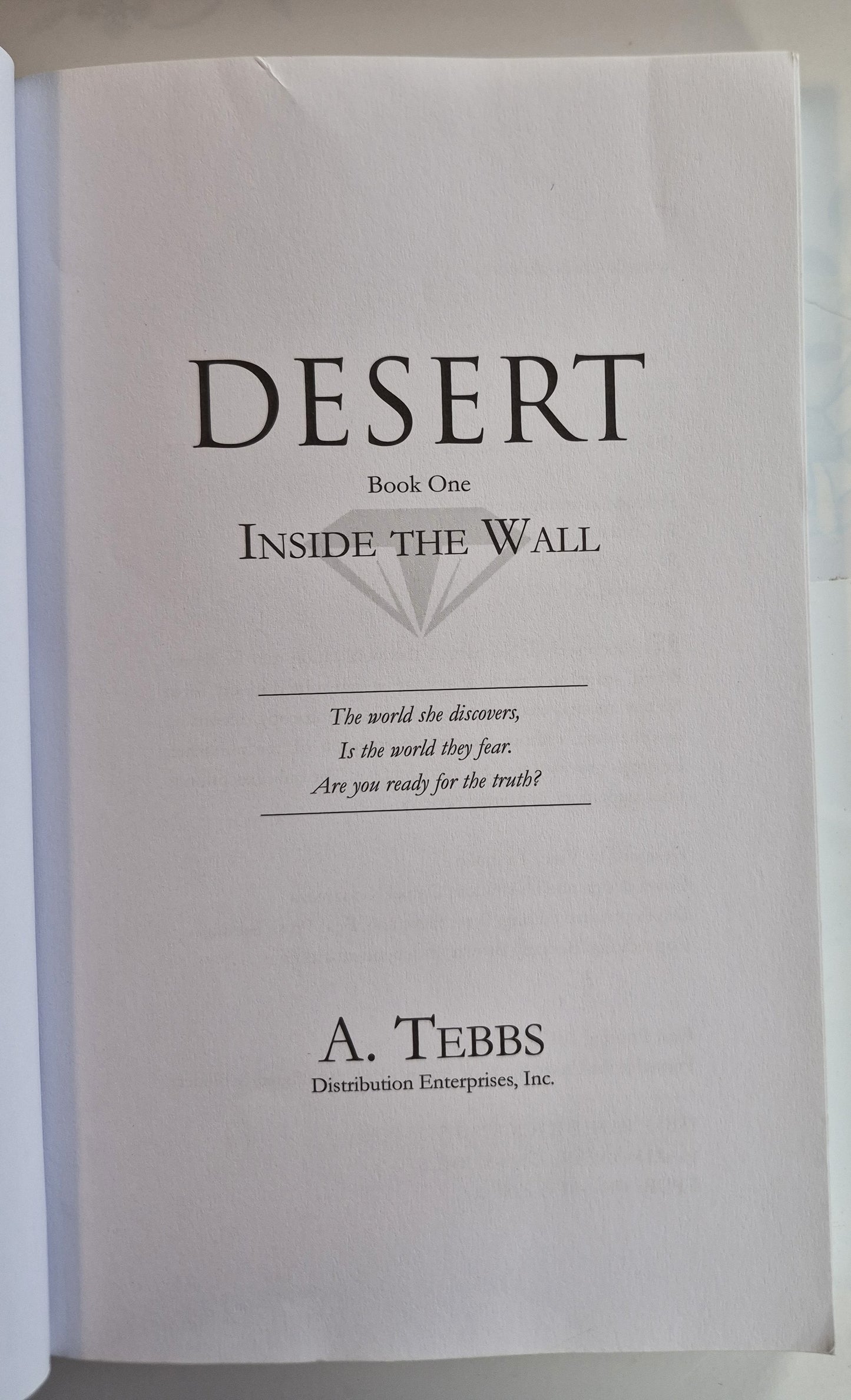 Desert: Inside the Wall by A. Tebbs (Very good, 2017, Pbk, 300 pages, Nightbird Books)
