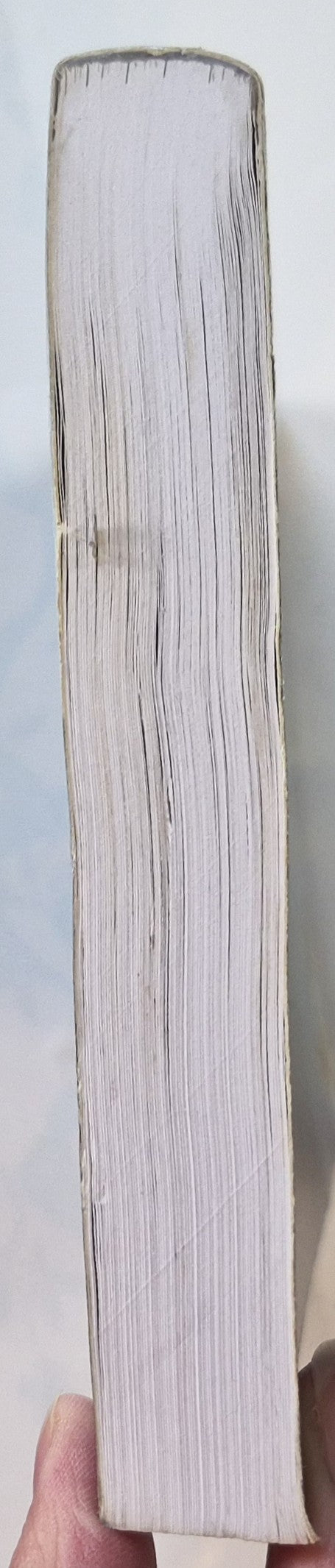 Desert: Inside the Wall by A. Tebbs (Very good, 2017, Pbk, 300 pages, Nightbird Books)