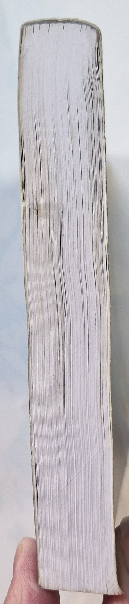 Desert: Inside the Wall by A. Tebbs (Very good, 2017, Pbk, 300 pages, Nightbird Books)