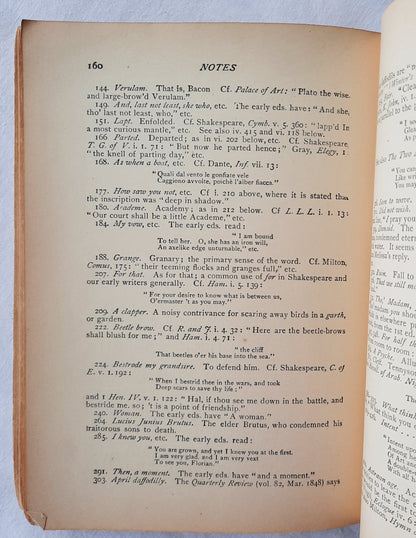 Riverside Literature Series: The Princess by Lord Alfred Tennyson (Good, 1897, Pbk, 188 pages, Houghton Mifflin and Company)