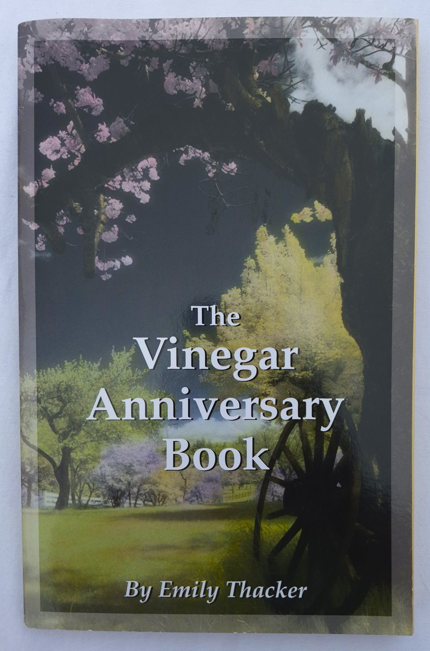The Vinegar Anniversary Book 9th edition by Emily Thacker (Sehr gut, 2006, Pbk, 208 Seiten, James Direct Inc.)