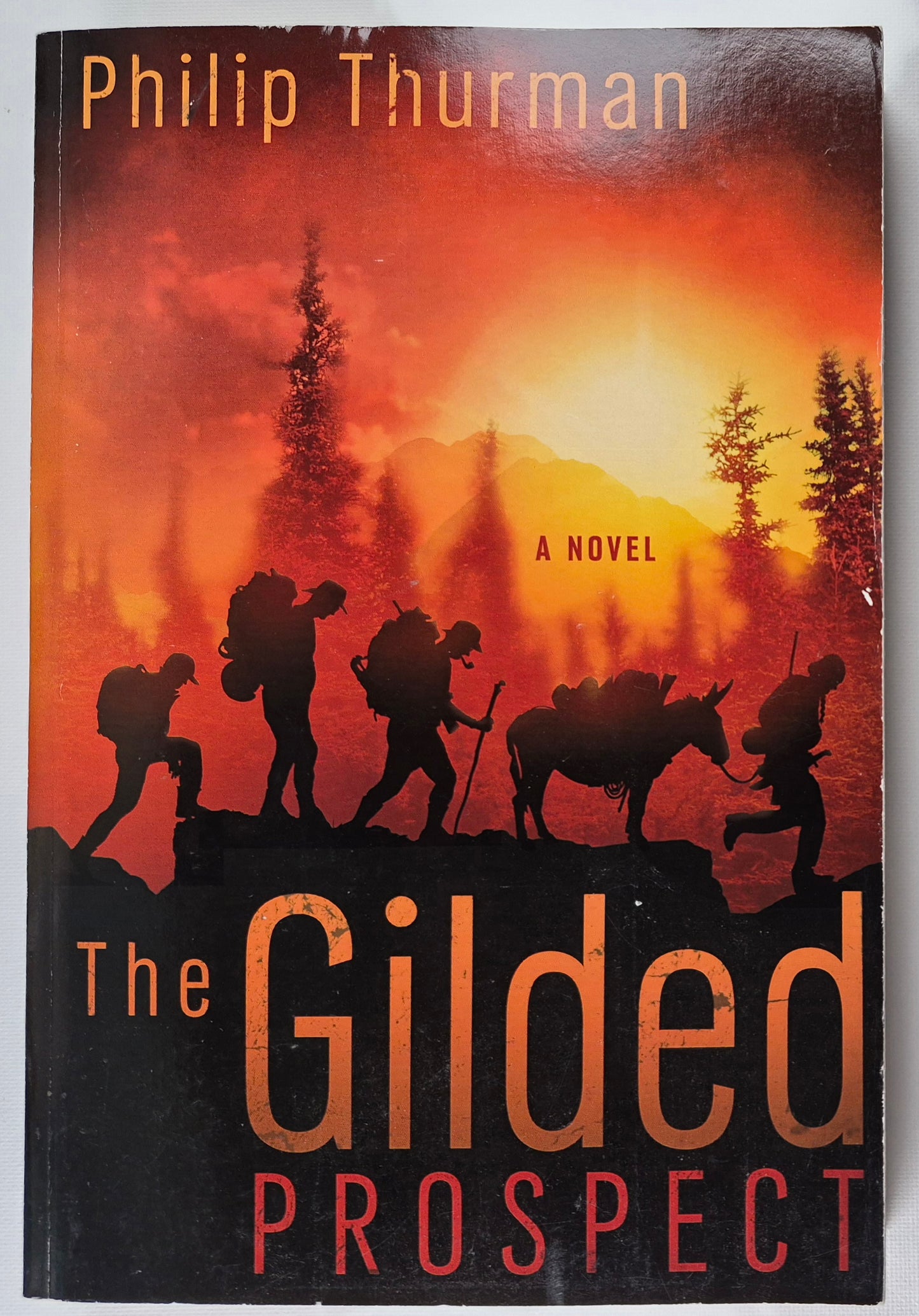 The Gilded Prospect von Philip Thurman (Wie neu, 2011, Pbk, 342 Seiten, Creation House Press)