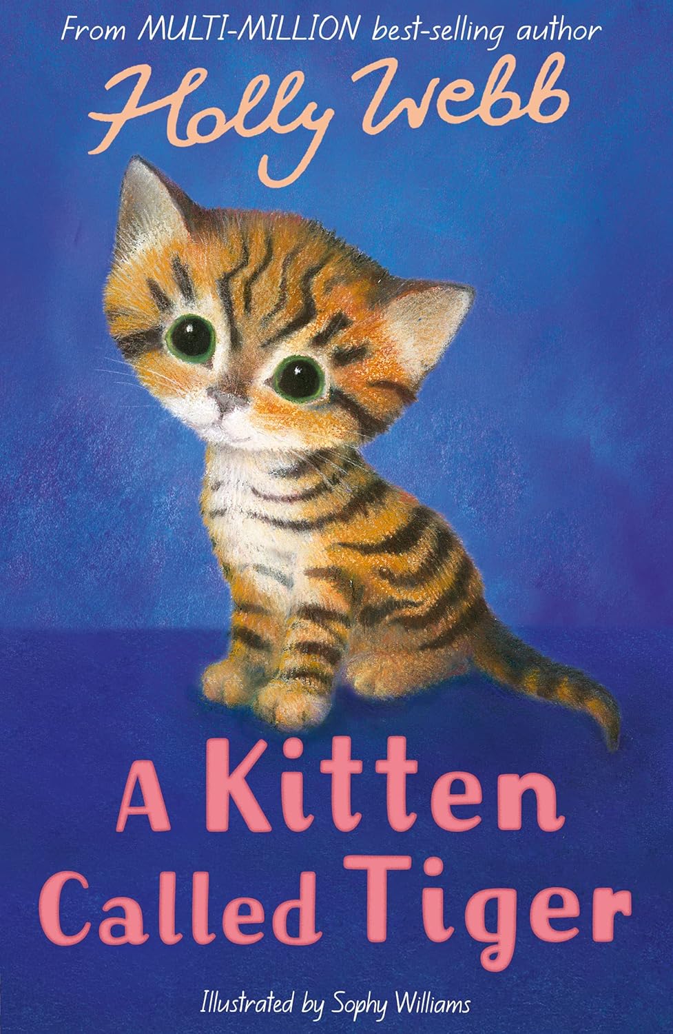 A Kitten Called Tiger by Holly Webb (New, 2017, Pbk, 128 pgs)