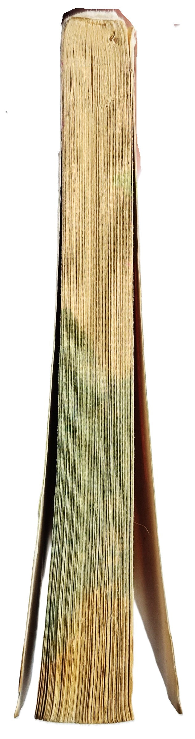 Charlotte's Web von E.B. White (Gut, 2004, Taschenbuch, 284 Seiten, Scholastic)