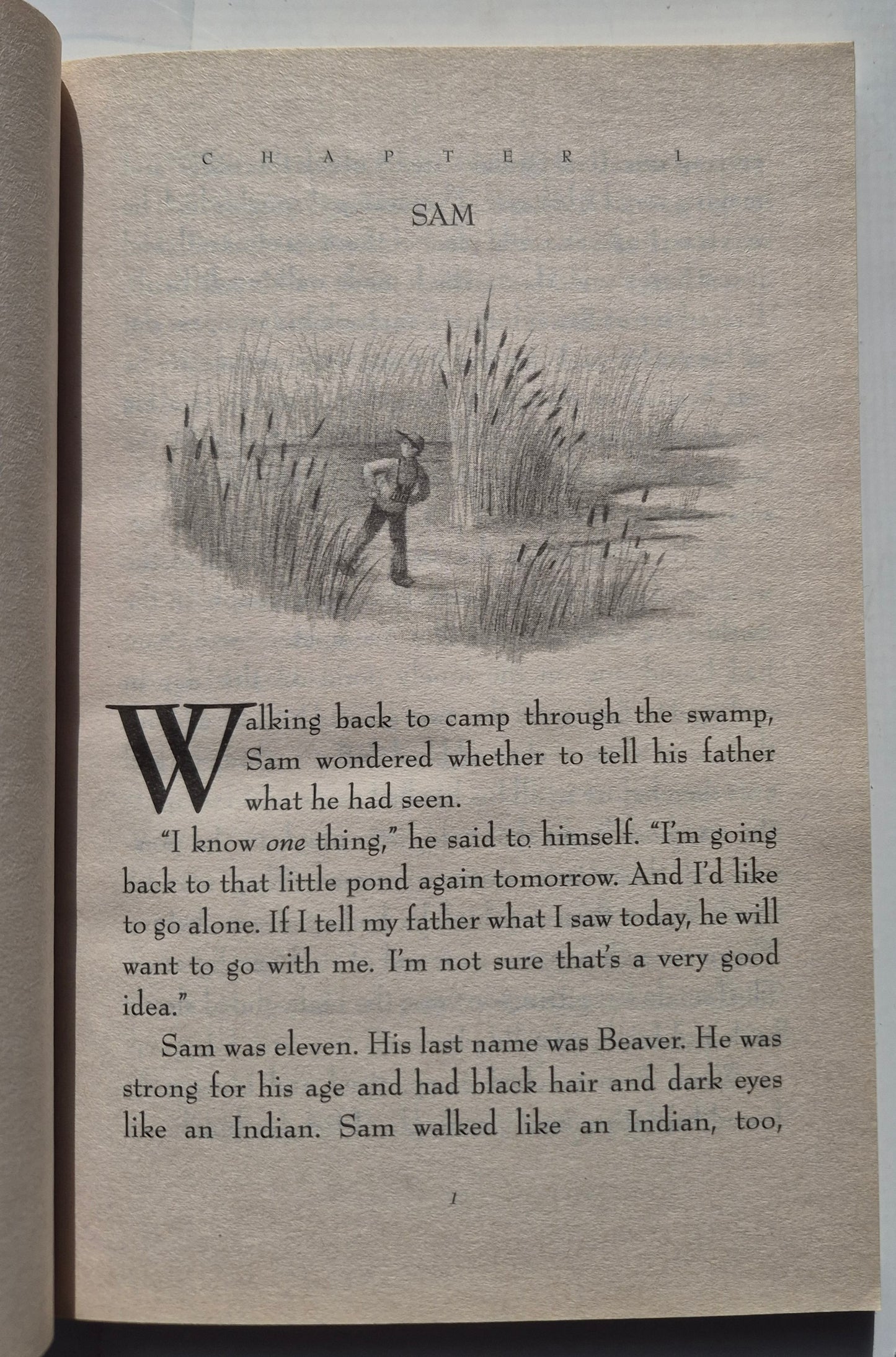 The Trumpet of the Swan by E. B. White (Like new, 2000, Pbk, 252 pages, HarperTrophy)