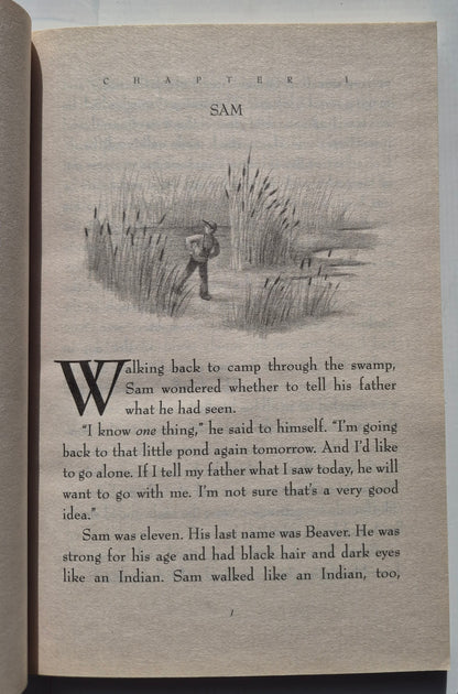 The Trumpet of the Swan by E. B. White (Like new, 2000, Pbk, 252 pages, HarperTrophy)